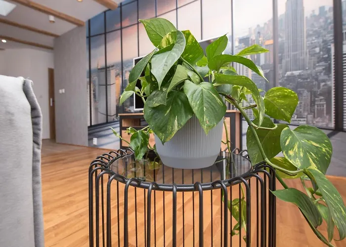 Mikolowska 2 * Gliwice